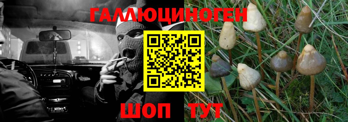 Галлюциногенные грибы Cubensis  Галлюциногенные грибы ЛСД  Елабуга  Вход с VPN 
